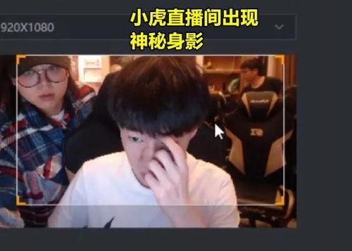 呆呆和奇哥互相爆料视频,揭秘娱乐圈背后的秘密