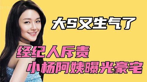 小杨直播爆料视频大全,揭秘热门事件幕后真相