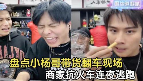 小杨哥爆料视频合集,揭秘幕后真相与精彩瞬间