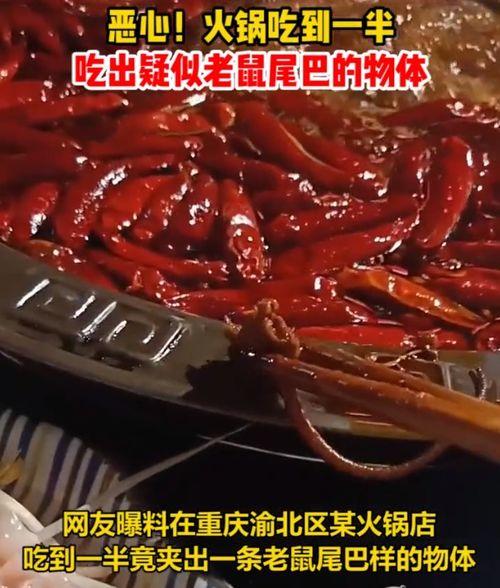 网友爆料火锅视频播放,视频揭示后厨操作全过程