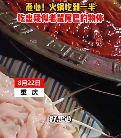 网友爆料火锅视频播放,视频揭示后厨操作全过程 第2张 网友爆料火锅视频播放,视频揭示后厨操作全过程 第2张