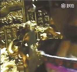故宫最新爆料事件视频,最新爆料事件视频深度解析  第3张