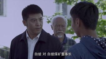 电视剧村支书在线观看,乡村振兴路上的领航者 第2张 电视剧村支书在线观看,乡村振兴路上的领航者 第2张