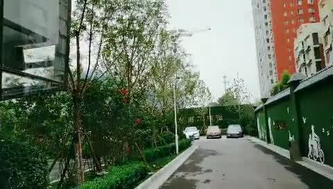 石家庄公园爆料视频最新,揭秘公园里的惊人秘密! 第2张 石家庄公园爆料视频最新,揭秘公园里的惊人秘密! 第2张