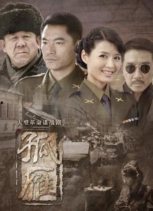 孤雁电视剧在线观看,穿越时空的守望者  第3张