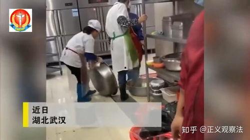 食品学院爆料视频,独家爆料视频带你探秘食品学院内部  第3张