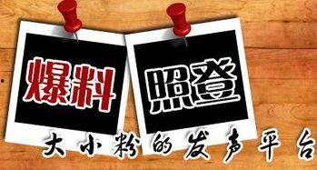 新闻爆料有奖平台有哪些,奖金丰厚等你来拿！  第1张