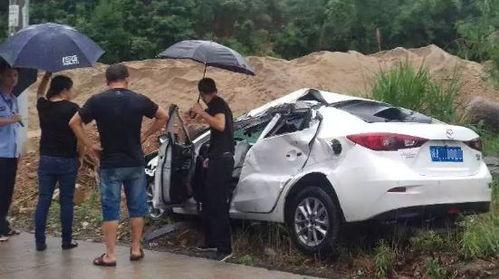 东湖车祸学生爆料事件视频,惊心动魄的生死瞬间  第2张