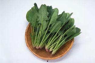菠菜最新爆料视频,惊人内幕大公开！