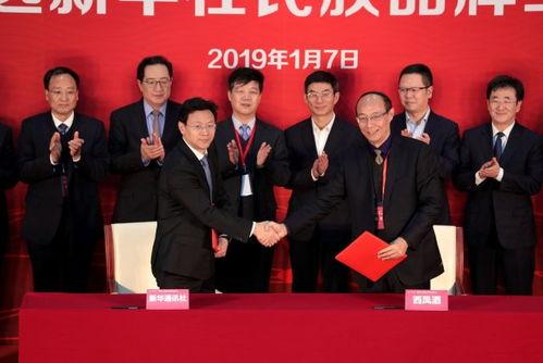主任最新爆料新闻,最新爆料新闻背后的惊人真相  第2张