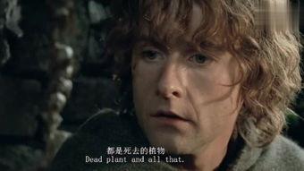 指环王在线观看,在线观影之旅,探寻中土世界的奇幻冒险 第2张 指环王在线观看,在线观影之旅,探寻中土世界的奇幻冒险 第2张