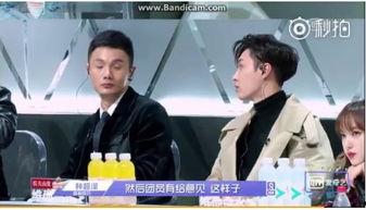 王思聪新年爆料视频大全,揭秘娱乐圈幕后真相  第3张