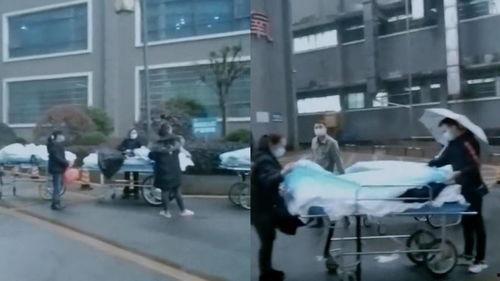 湘西医院爆料视频最新,真相究竟如何？