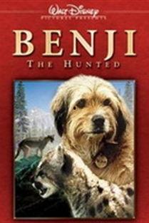 丛林赤子心在线观看,在线观看，探寻原始森林的神秘之旅  第3张