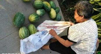 青县吃瓜最新事件爆料,揭秘背后惊人真相  第3张