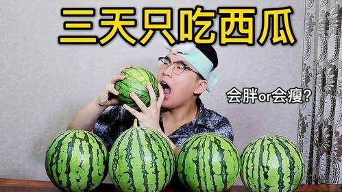 可期吃瓜人免费 第2张 可期吃瓜人免费 第2张