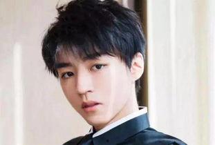 近期娱乐爆料王俊凯是谁,真相背后的明星生活  第3张