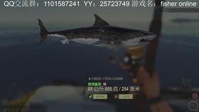 鲨鱼最新爆料视频大全播放,揭秘海洋深处的神秘世界  第3张