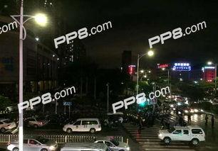 西乡最新爆料视频,惊人内幕曝光！