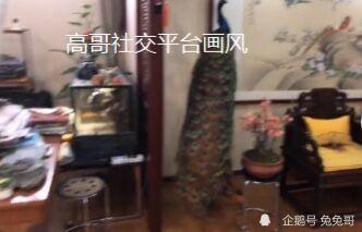 舅舅爆料人偶视频播放在线观看,人偶视频在线观看，带你走进神秘世界  第3张