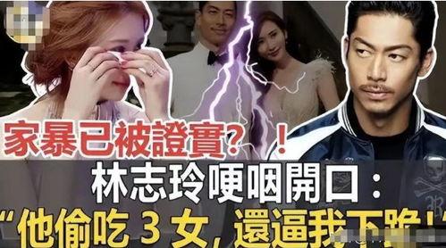 台媒爆料家暴视频,家庭悲剧引发社会关注