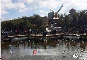 云南最新爆料昆明,云南最新爆料揭示城市新面貌 第2张 云南最新爆料昆明,云南最新爆料揭示城市新面貌 第2张