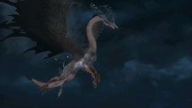 蜴蜥岛的阴谋在线观看,揭秘神秘岛屿的惊悚谜团  第3张