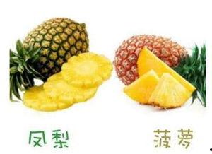 凤梨独家爆料视频,视频内容大起底，精彩瞬间不容错过