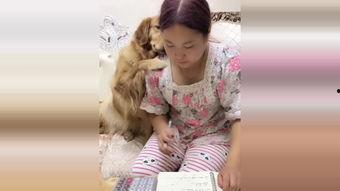 小妖精在线观看,在线奇幻冒险之旅 第2张 小妖精在线观看,在线奇幻冒险之旅 第2张