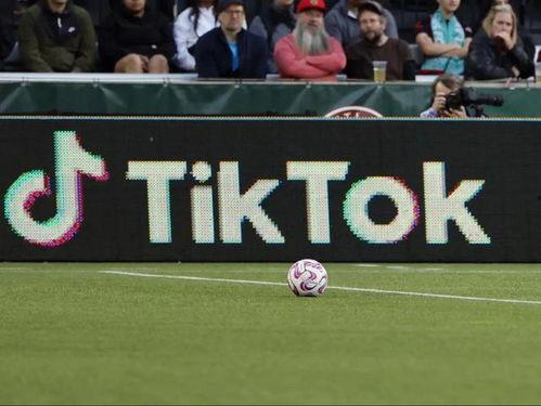 体育新爆料视频,揭秘赛场幕后精彩瞬间  第3张