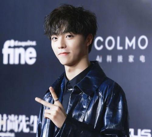 小鬼王琳凯被爆料视频,真相与争议  第3张