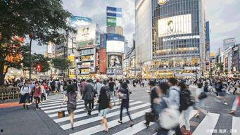 阳江楼盘最新消息爆料,最新楼盘爆料,投资与居住双重利好来袭! 第3张 阳江楼盘最新消息爆料,最新楼盘爆料,投资与居住双重利好来袭! 第3张