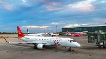 大连飞机场爆料事件视频,揭秘机场内部惊人真相