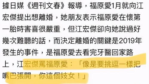 文春爆料历史真相视频,历史真相视频背后的惊人内幕  第2张