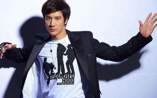 徐立峰爆料王力宏视频,事件背后真相揭秘