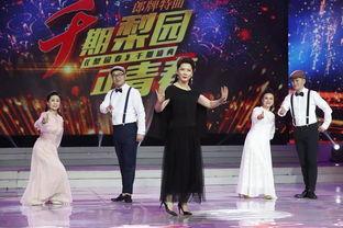 今晚梨园春在线观看,在线直播精彩纷呈,传统戏曲魅力再现 第2张 今晚梨园春在线观看,在线直播精彩纷呈,传统戏曲魅力再现 第2张