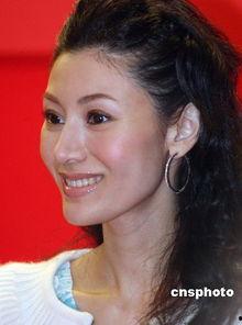 娱乐圈吃瓜爆料李嘉欣,娱乐圈风云再起，豪门生活揭秘  第3张