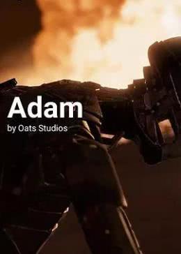 亚当 镜子 在线观看,揭秘虚拟世界的真实面纱