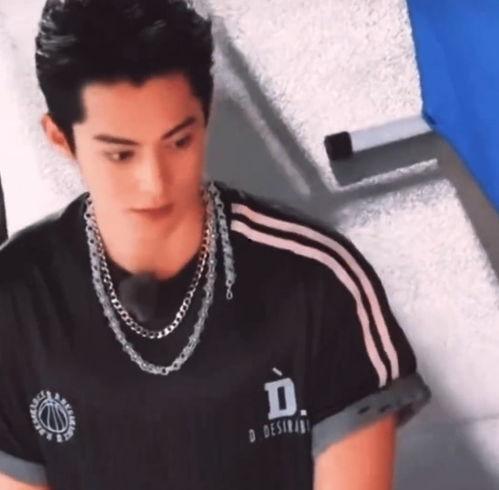 粉丝爆料王鹤棣视频,精彩瞬间引网友热议