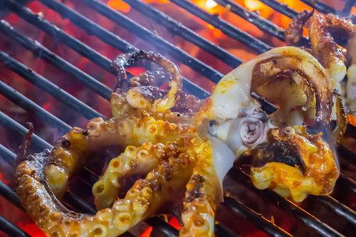 章鱼东河惊魂在线观看  第2张