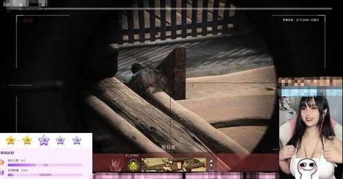 腐团儿爆料视频,视频背后那些不为人知的幕后故事  第2张