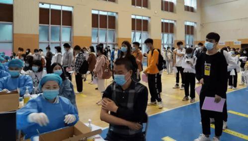 重庆小学爆料案件最新消息,案情细节及调查进展披露  第3张