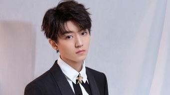 凯源圈内人爆料,凯源组合背后的故事与真相