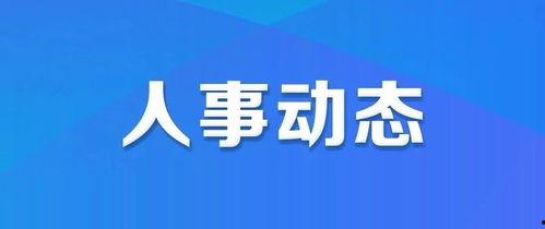 威县爆料最新新闻视频网,最新新闻视频网聚焦热点事件