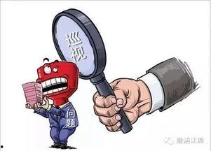 政治巡视在线观看