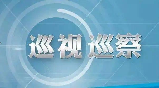 政治巡视在线观看 第2张 政治巡视在线观看 第2张